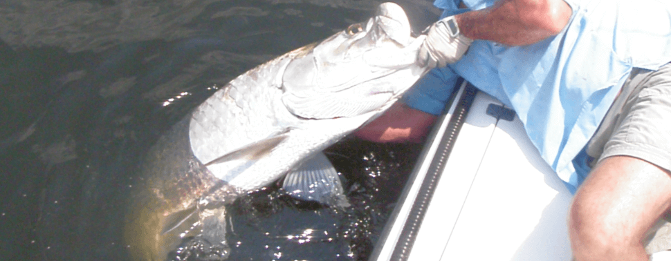 Gulf Coast Region Fishing Guides