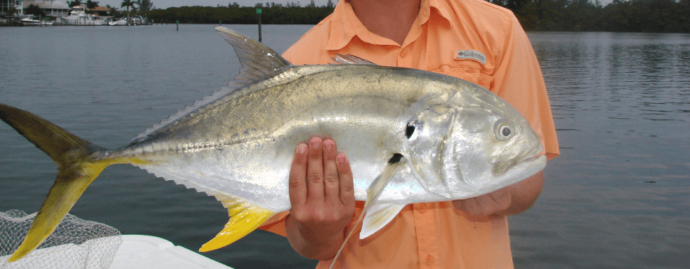 Gulf of Mexico island hopping, eco tours, saltwater fishing, fishing charters, fishing guides