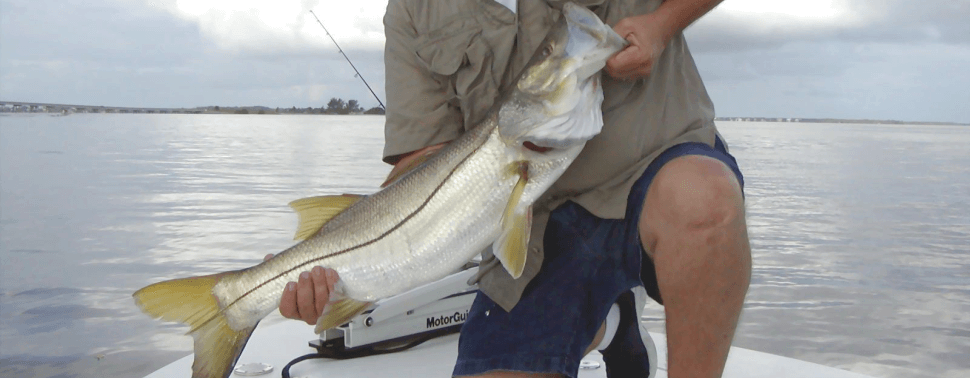 Sanibel Island backcountry fishing, flats fishing, snook, trout, redfish, tarpon, fishing