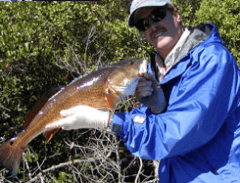 fly fishing tours ft. myers charters 
