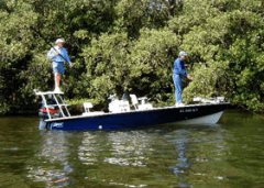 boat tours fishing expeditions florida sanibel islands gulf coast of Mexico