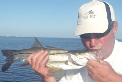 sanibel snook