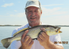 Trout trout