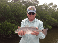 Redfish