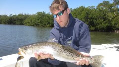 Spotted Sea Trout