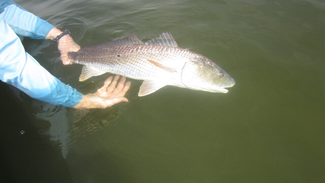 Fishing in Sanibel