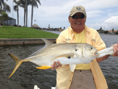 Jack Crevalle