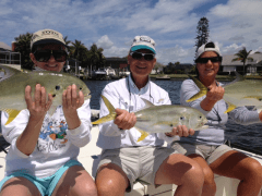 Jack Crevalle and Friends