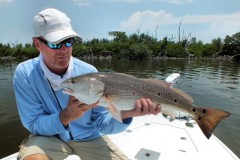 blake redfish