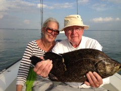 Tripletail