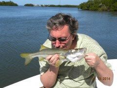 Sanibel Snook