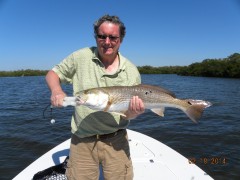 Sanibel Redfish