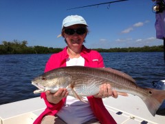 Sanibel Redfish