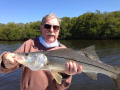 Sanibel Snook