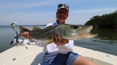 Sanibel Snook