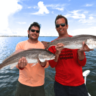 Sanibel Redfish