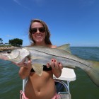 Sanibel Snook