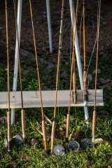 Bamboo Fly Rods