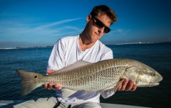 Sanibel Redfish